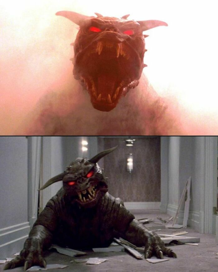 The Only Therapy Dog That Can Handle All Of My Problems