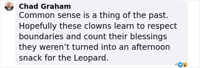 Leopard Attacks People Who Teased And Lured It Out Of Woods, Caught On Video: “Serves Them Right” Leopard Attacks People Who Teased And Lured It Out Of Woods, Caught On Video: “Serves Them Right”