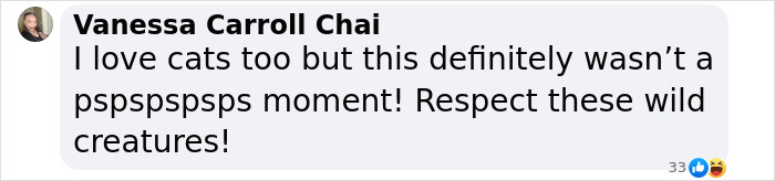 Leopard Attacks People Who Teased And Lured It Out Of Woods, Caught On Video: “Serves Them Right” Leopard Attacks People Who Teased And Lured It Out Of Woods, Caught On Video: “Serves Them Right”