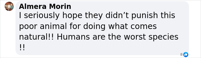 Leopard Attacks People Who Teased And Lured It Out Of Woods, Caught On Video: “Serves Them Right” Leopard Attacks People Who Teased And Lured It Out Of Woods, Caught On Video: “Serves Them Right”