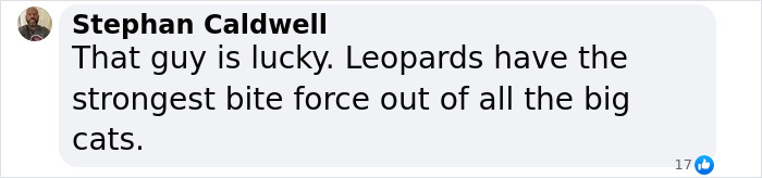 Leopard Attacks People Who Teased And Lured It Out Of Woods, Caught On Video: “Serves Them Right” Leopard Attacks People Who Teased And Lured It Out Of Woods, Caught On Video: “Serves Them Right”