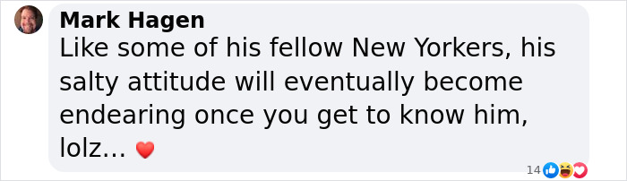 Rebellious Pup Who Failed 3 Adoption Attempts Finds His Perfect Match And Becomes Local Celebrity Rebellious Pup Who Failed 3 Adoption Attempts Finds His Perfect Match And Becomes Local Celebrity