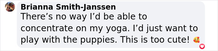 Yoga With Homeless Puppies Adds Twist To Traditional &ldquo;Puppy Yoga&rdquo; Trend To Promote Adoptions