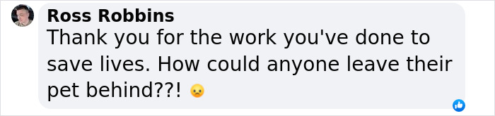 You Can Tell How Grateful This Pup Is To Be Rescued From Hurricane Milton Flooding You Can Tell How Grateful This Pup Is To Be Rescued From Hurricane Milton Flooding
