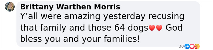 You Can Tell How Grateful This Pup Is To Be Rescued From Hurricane Milton Flooding You Can Tell How Grateful This Pup Is To Be Rescued From Hurricane Milton Flooding