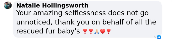 You Can Tell How Grateful This Pup Is To Be Rescued From Hurricane Milton Flooding You Can Tell How Grateful This Pup Is To Be Rescued From Hurricane Milton Flooding