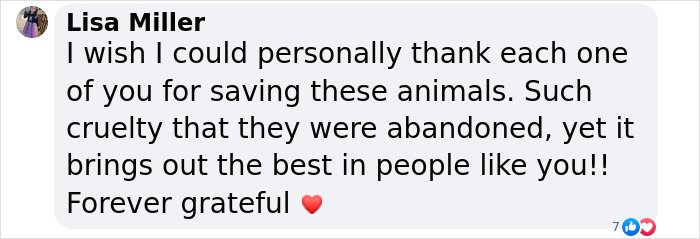 You Can Tell How Grateful This Pup Is To Be Rescued From Hurricane Milton Flooding You Can Tell How Grateful This Pup Is To Be Rescued From Hurricane Milton Flooding
