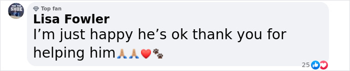 Hurricane Traps Man And His Dog On The Ocean, They Manage To Call The Coast Guard And Get Rescued Hurricane Traps Man And His Dog On The Ocean, They Manage To Call The Coast Guard And Get Rescued