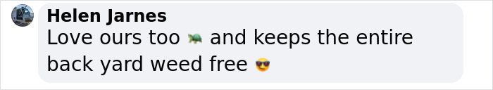 This Woman Has Become True Besties With A Sonoran Desert Tortoise She Recently Adopted