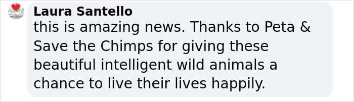 PETA Lawyer Exclusively Opens Up Amid Before And After Photos Of Tonka From &ldquo;Chimp Crazy&rdquo;