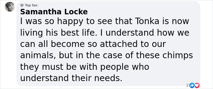 PETA Lawyer Exclusively Opens Up Amid Before And After Photos Of Tonka From &ldquo;Chimp Crazy&rdquo;