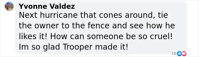 &ldquo;Justice Prevails&rdquo;: Man Who Tied Dog During Hurricane Milton Charged After Trying To Reclaim Pet