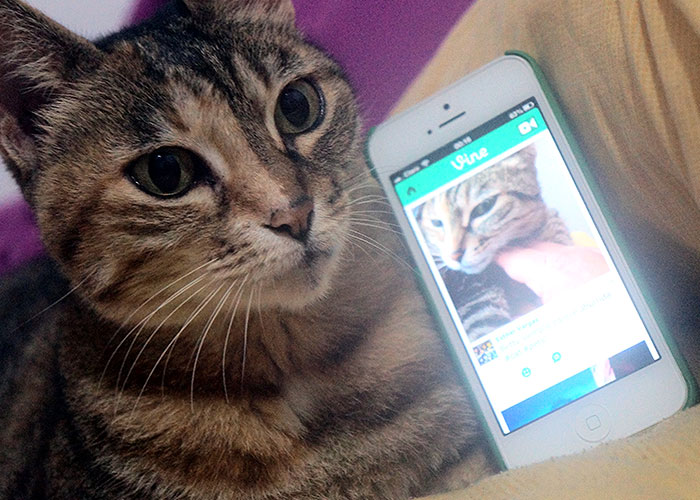 “Now Kinda Embarrassing”: 35 Trends That Blew Up As Quickly As They Died