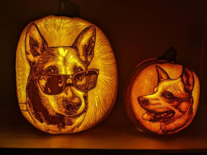Two detailed pumpkin carvings featuring dogs, one wearing sunglasses, showcasing spooky and charming pumpkin carving art.