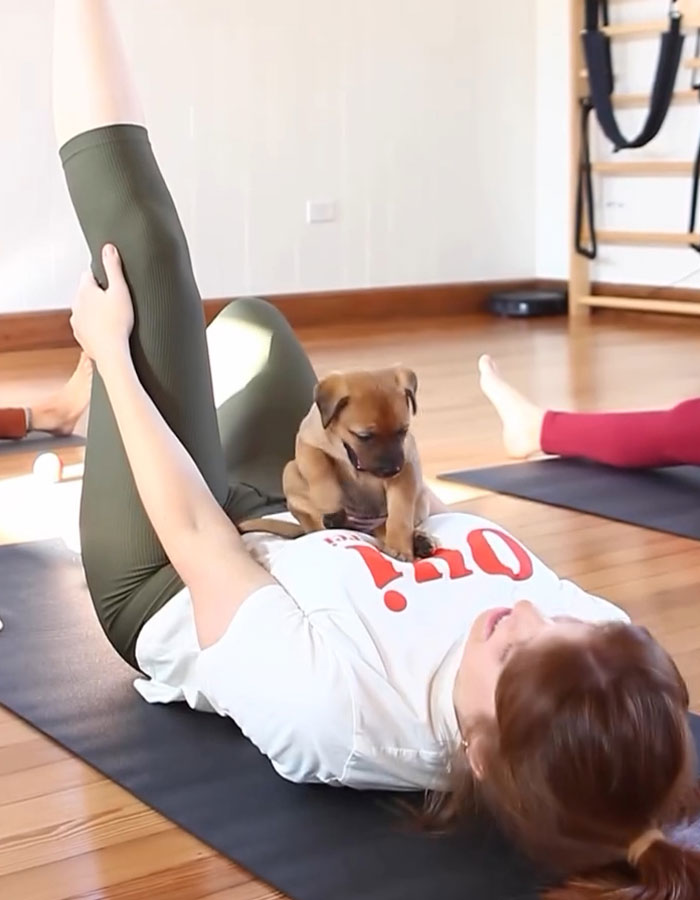 Yoga With Homeless Puppies Adds Twist To Traditional &ldquo;Puppy Yoga&rdquo; Trend To Promote Adoptions
