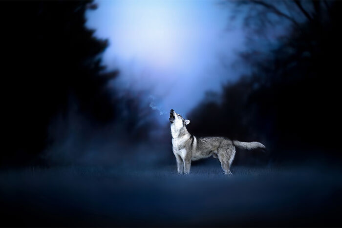 Summoning Howl-O-Ween