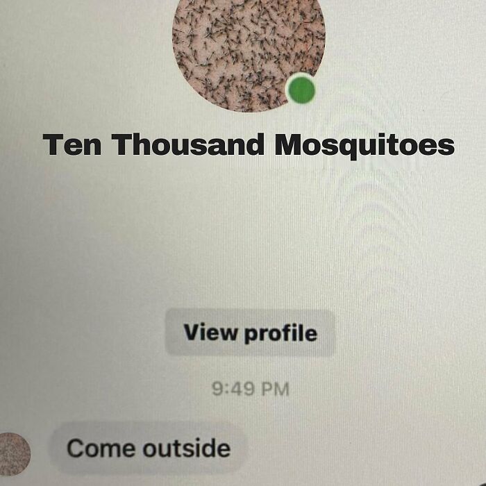Instagram sadistic memes showing a message from Ten Thousand Mosquitoes saying come outside, making followers smirk.