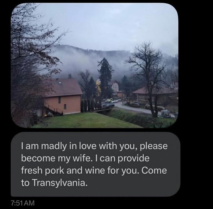 Image of a misty rural landscape with a humorous sadistic meme text about love and Transylvania, fitting sadistic memes theme.