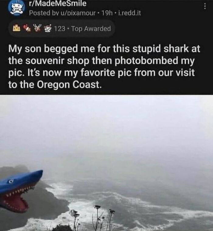 Instagram sadistic meme showing a photobombing shark souvenir at the Oregon Coast making followers smirk.