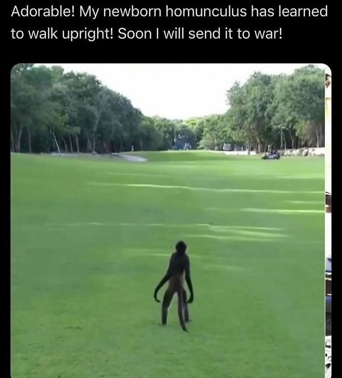 A sadistic meme from Instagram showing a small creature walking upright on a grassy field, making followers smirk.