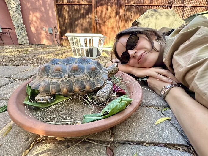 This Woman Has Become True Besties With A Sonoran Desert Tortoise She Recently Adopted