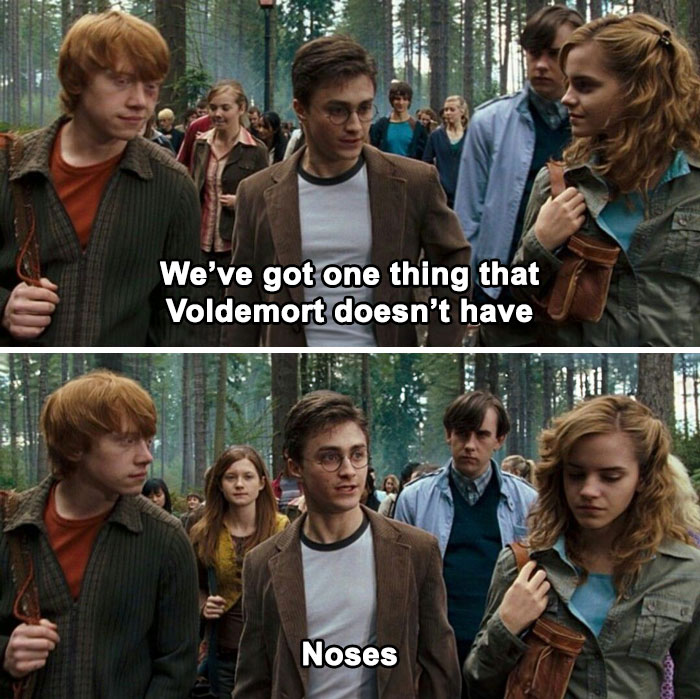 Characters from Harry Potter in a humorous scene about Voldemort's lack of a nose.