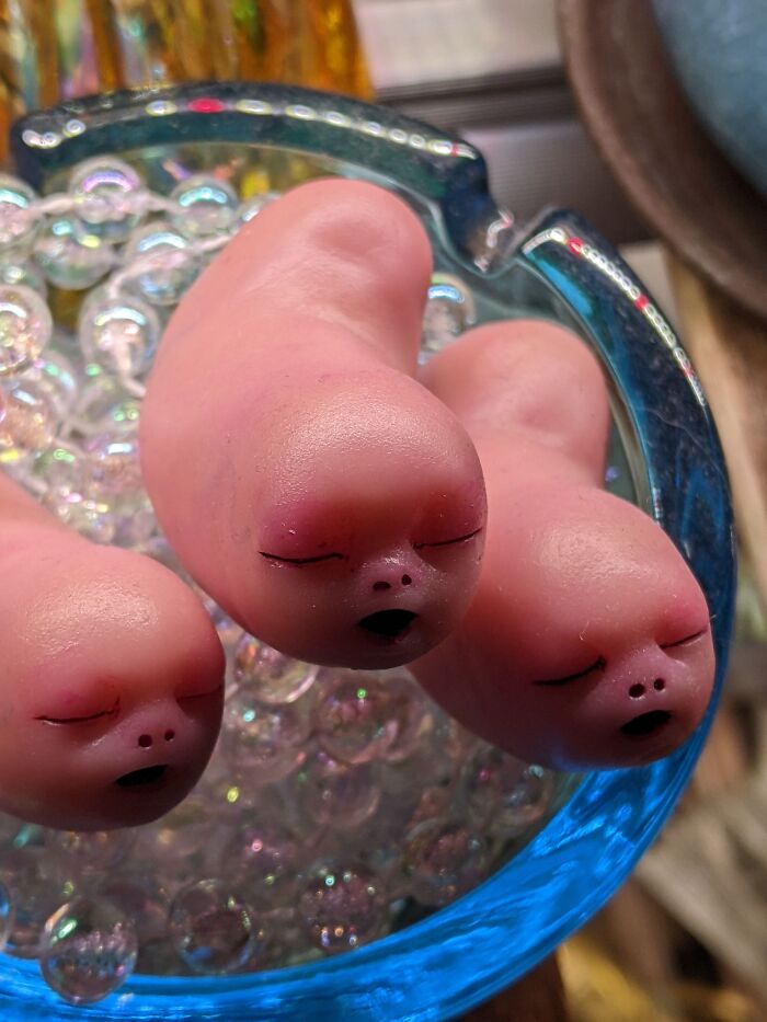 May I Introduce You To My Strange And Wonderful Children