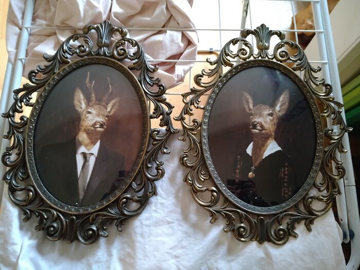 Named Uncle Buck And Aunt Doe. A.rossi 2012