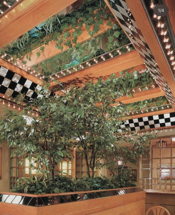 Indoor garden with lush plants and checkered ceiling details in captivating vintage interiors from the 50s to 80s.