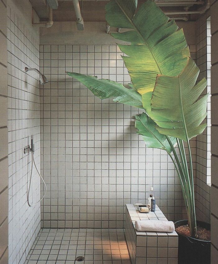 Minimalist bathroom interior from the ’50s to ’80s with tiled walls and floors and a large tropical plant.