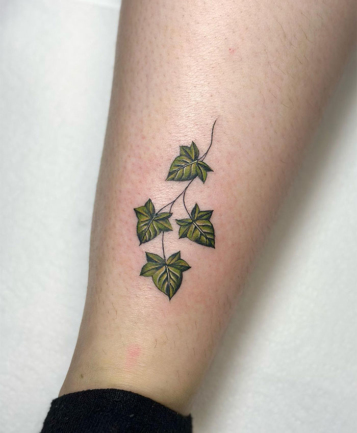 Small tattoo of green ivy leaves on a person's leg, showcasing intricate design and elegance.