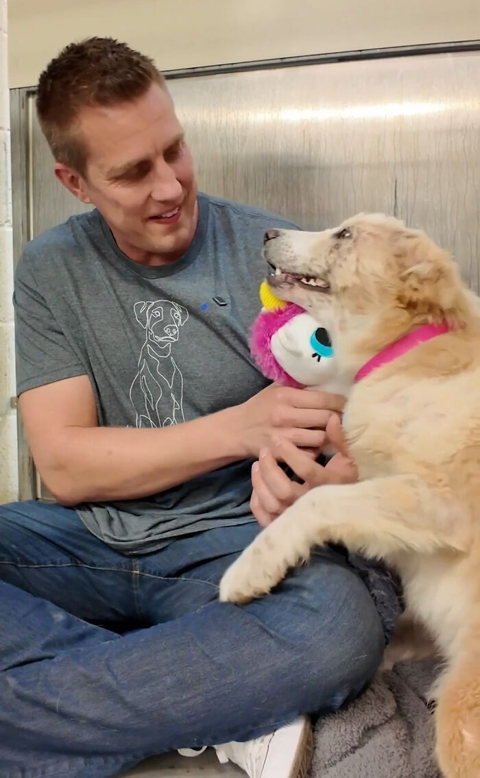 Video About Shelter Pup Getting Cuddles For The First Time Is Melting Hearts All Over The Internet