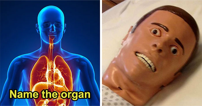 If You’ve Taken Science Lessons Before, You Shouldn’t Make More Than 3 Mistakes In This Trivia