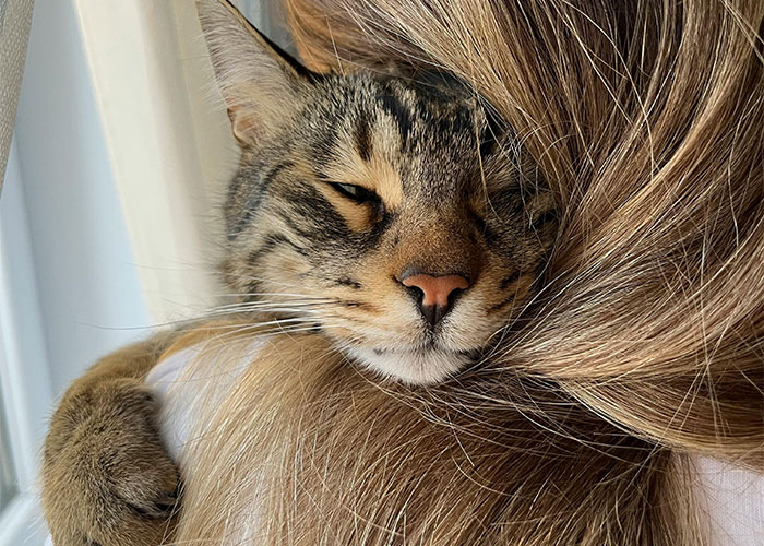 “It's Been 4 Years And I Still Cry”: 40 Life Events You’ll Never Fully Grasp Until They’re Yours