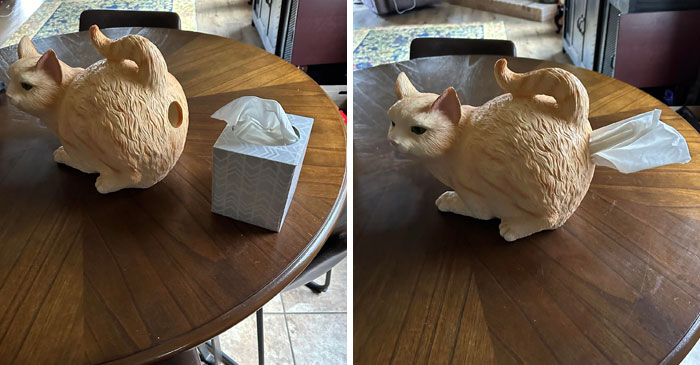 Nice Treasure From A Goodwill In