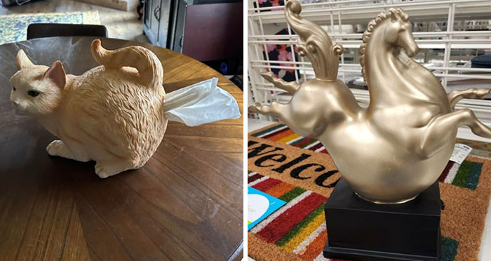 50 Times People Found The Funniest And Weirdest Things While Shopping Secondhand