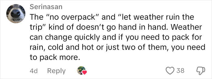 "No Partiers, No Fussy Eaters": Woman's Traveling Partner Red Flags List Goes Viral