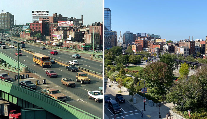 30 Impressive Progress Photos Of Trees Growing Up And Making Spaces Greener