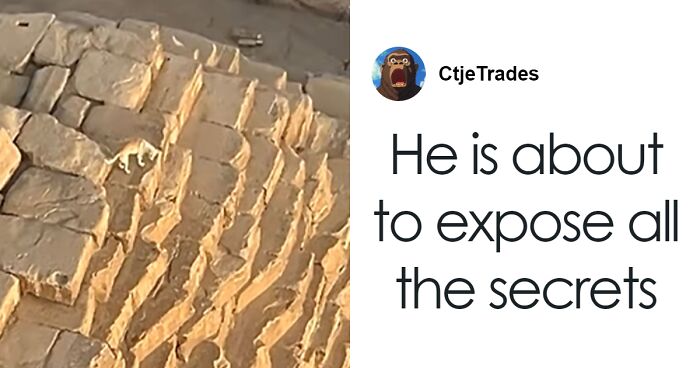 “It’s His Now”: Viral Dog That Climbed The Pyramid Of Giza Finally Comes Down