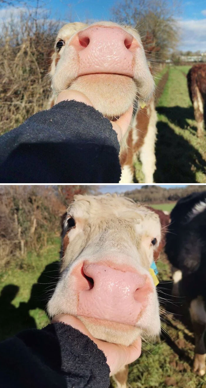 I Can’t Get Over How Cute Nutmeg Is