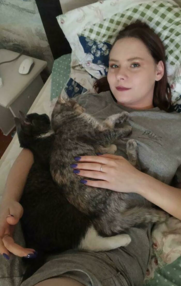 I Came Home From Work And Laid Down To Rest, Apparently My Cats Really Missed Me