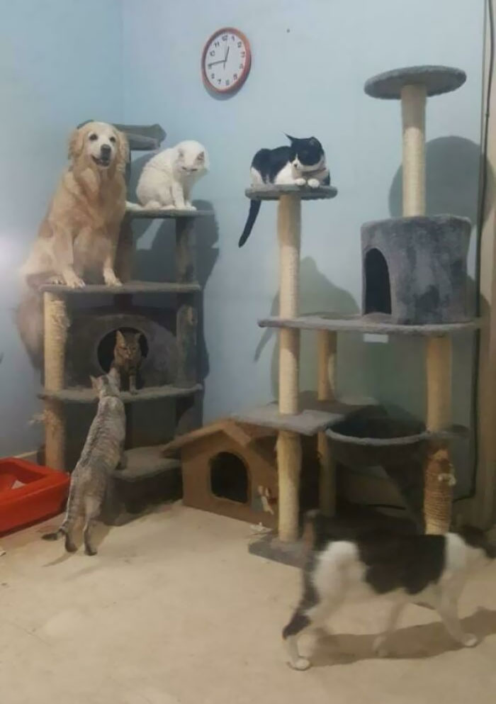 The Result Of Co-Existing For 3 Years And Counting