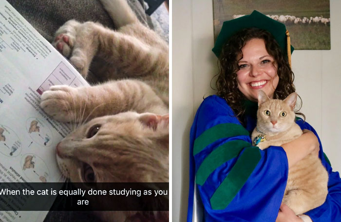 How It Started vs. How It’s Going