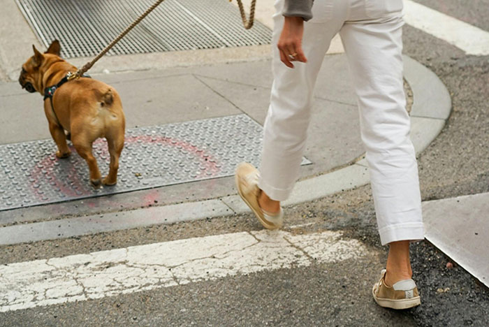 “He Was Being A Baby”: Woman Refuses To Accommodate Dog-Phobic Neighbor, Gets Called Out “He Was Being A Baby”: Woman Refuses To Accommodate Dog-Phobic Neighbor, Gets Called Out