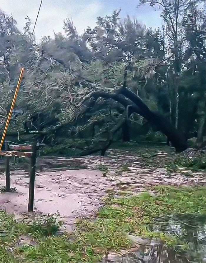 Viral Couple Who Stayed To Care For Animals Reveal Farm&rsquo;s Destruction After Hurricane Milton