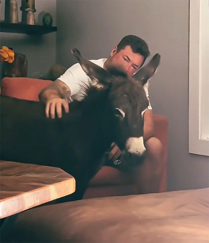 Viral Couple Who Stayed To Care For Animals Reveal Farm&rsquo;s Destruction After Hurricane Milton