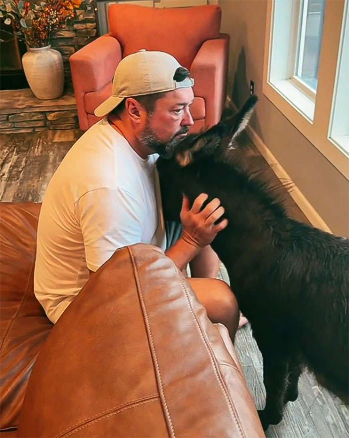 Viral Couple Who Didn&rsquo;t Evacuate Amid Hurricane Milton Brings Donkey Into Their Home