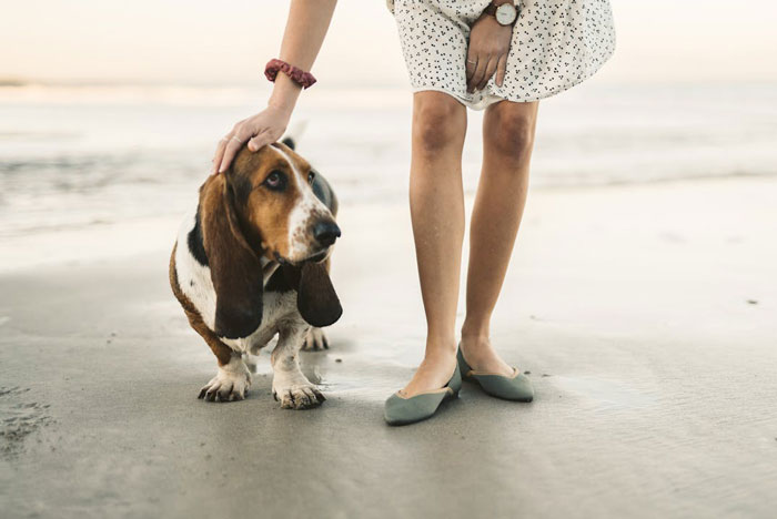 “Ignored All My Calls And Texts”: Neighbors Move Out, Leaving Their Dog Behind, Now Want Him Back “Ignored All My Calls And Texts”: Neighbors Move Out, Leaving Their Dog Behind, Now Want Him Back