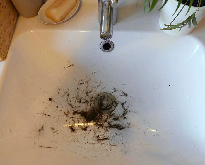 My Husband Decided To Trim His Hair This Morning Before Leaving For Work And I Am Really Tempted To Just Ignore This And Use Bidet And Bath Faucet And See How Long This Stays Here