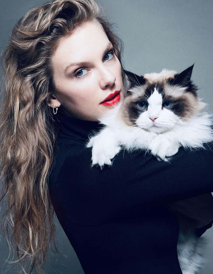 Rescue Efforts Intensify For 66-Year-Old Woman Who Fell Overboard From Cruise Ship In Bahamas